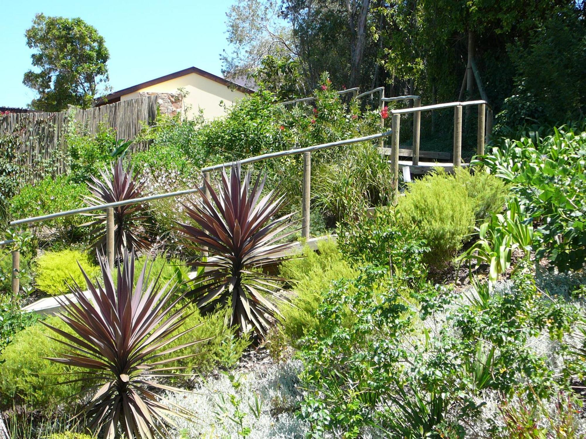 Double Dutch B & B Knysna Kültér fotó